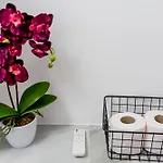Appartement Lady-s Cluj-Napoca