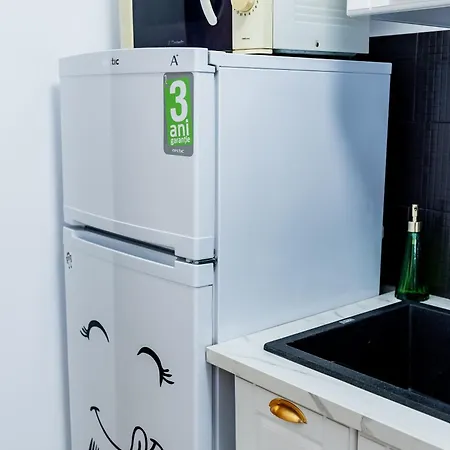 Apartment Lady-s Cluj-Napoca