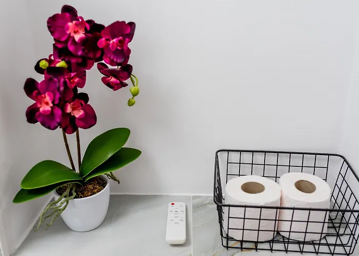 Apartmán Lady-s Kluž